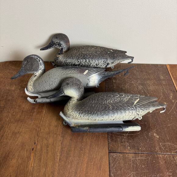 Carry Lite Duck Decoy Pintail Ducks Plastic Made In Italy 2 Hens 1 Drake - Picture 1 of 16